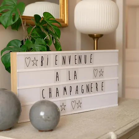 Вилла La Champagnere - Domaine Avec Piscine - Seminaire - 15 Personnes Basse-Goulaine