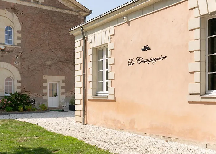 La Champagnere - Domaine Avec Piscine - Seminaire - 15 Personnes Basse-Goulaine